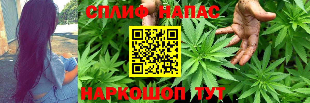 Шишки марихуана Bruce Banner Ялта